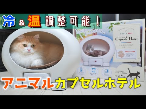 冷温設定が可能犬猫最新ペットハウス！「アニマルカプセルホテル」【商品レビュー THANKO サンコー】