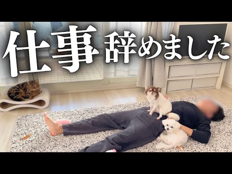 犬猫を愛するあまりついに仕事を辞めた夫