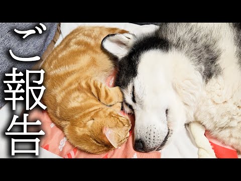 【ご報告】病院での血液検査の結果について…