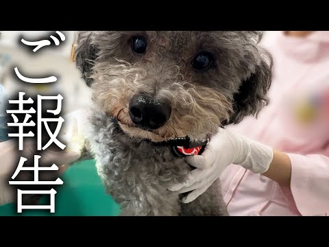 【ご報告】病院でドクターに言われた衝撃的な言葉…