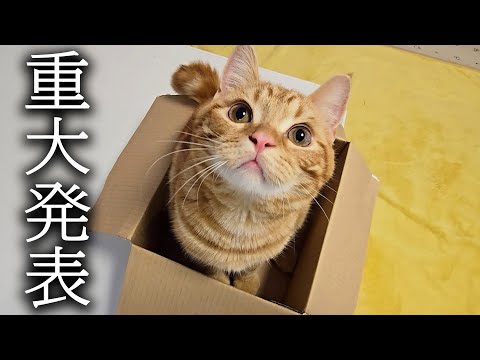 みなさまに重大なご報告があります…