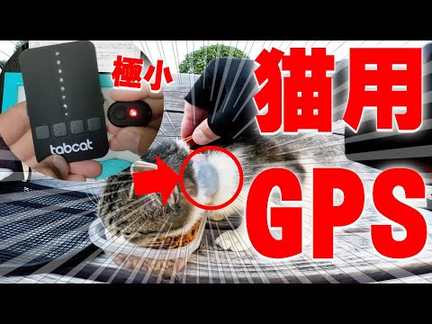 猫、ペット用GPSトラッカーの迷い解決！エアタグとの比較、やっと良い物に辿り着きました！【Tabcat v2】
