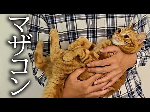 犬を預けたら子猫が大泣きして抱きついてきました…