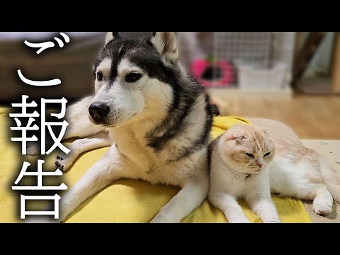 【ご報告】悲しいご報告…