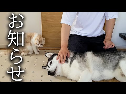 悲しいお知らせです…