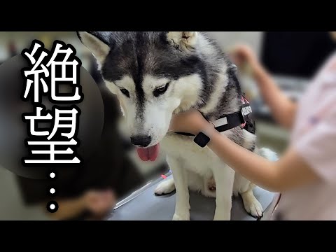 緊急で病院から呼び出されました…
