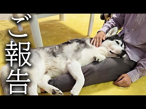 今まで応援してくださった皆様へ大切なご報告…