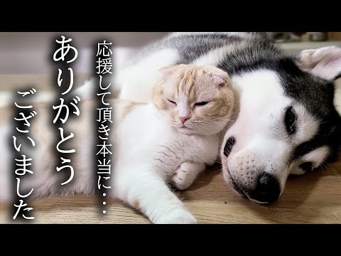 みなさまにお伝えしたいことがあります…