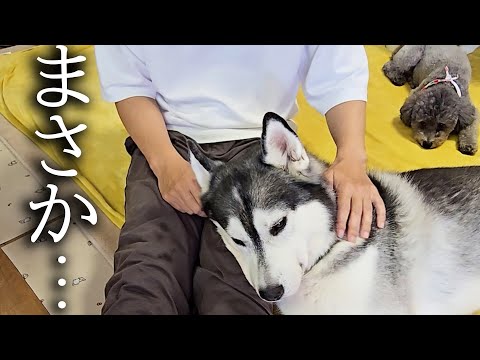 もう一度身体中を調べてみたら…