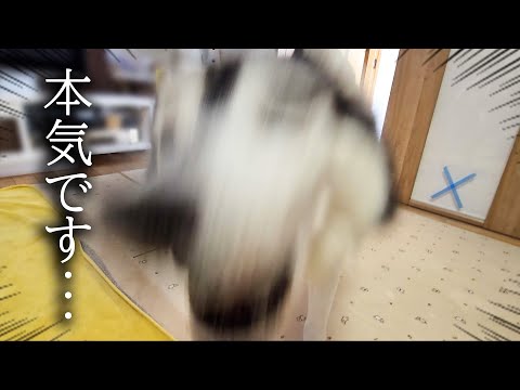 病院だと思い本気でブチギレた…