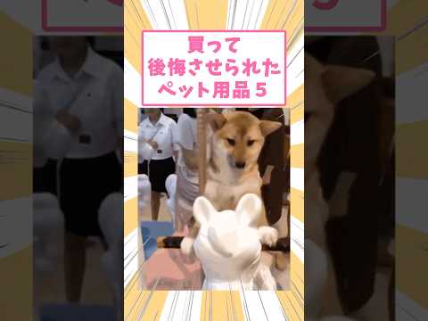 買って後悔させられたペット用品5 #動物 #犬 #猫