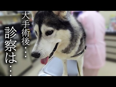 大手術後の初めての病院で…