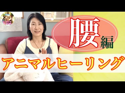 アニマルヒーリング腰編！【犬・猫（４足歩行のペットさん達へ】