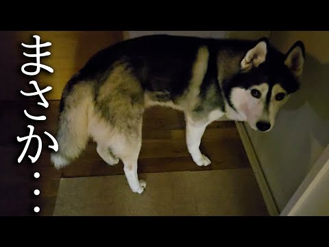 深夜にハプニングが発生しました…