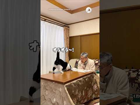 この関係性が最高すぎる|PECO