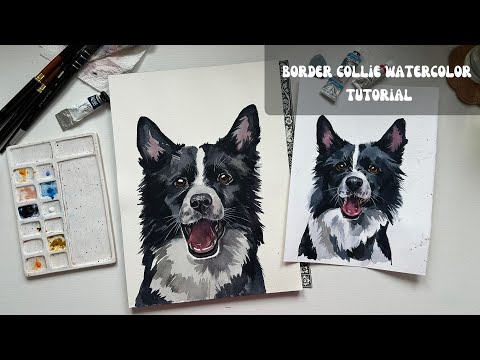 How to Paint a Border Collie with Watercolor | Step-by-Step Dog Portrait Tutorial
