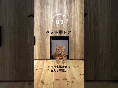ペットと暮らす家#こだわりの家#ペットと暮らす#猫#犬