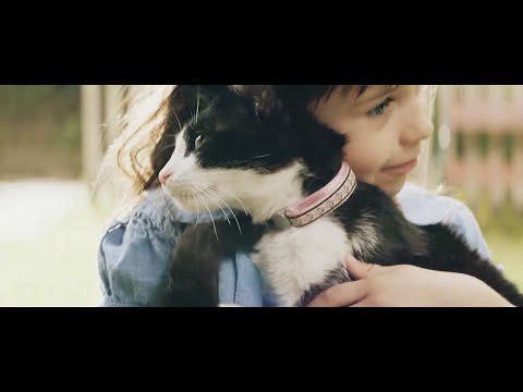 【YKK AP公式】2015「赤ちゃんと猫」篇 90秒 （特別編集ver.）“baby & cat”