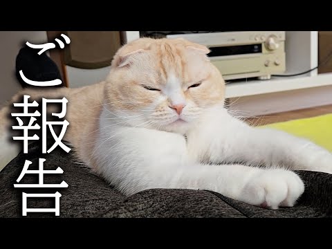 しばらくお休みすることになりそうです…