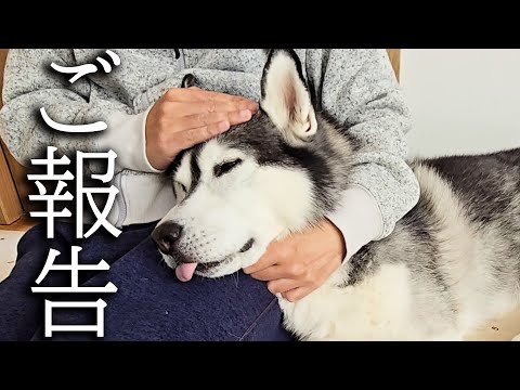 【ご報告】視聴者の皆様に大事なお話があります…