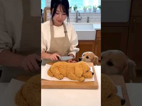 犬と犬ケーキ🐶🍰2