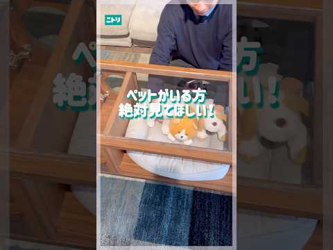 くつろぎながらペットとリラックスできる最高のアイテム🎵 #ニトリ #ニトリ商品 #センターテーブル #猫のいる暮らし #猫のいる生活 #ペット用品