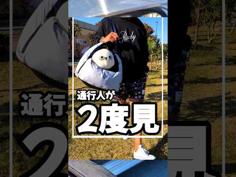 飼い主もペットもニヤリ #商品紹介 #便利 #ペットキャリー#犬 #猫