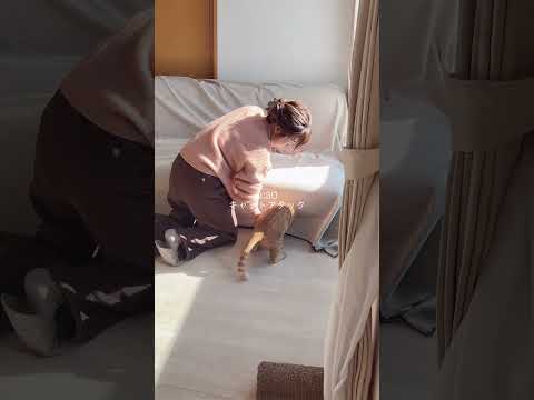 冬のある1日⛄️#犬 #猫