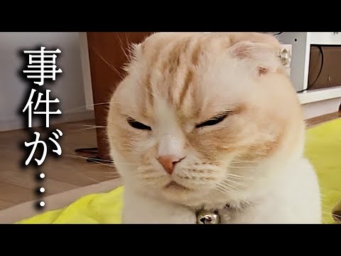 正月早々に事件が…