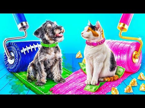 びんぼうな犬vs お金持ちのねこ！ペットのせわをしてみよう！