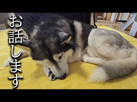 お休みすることになりました…