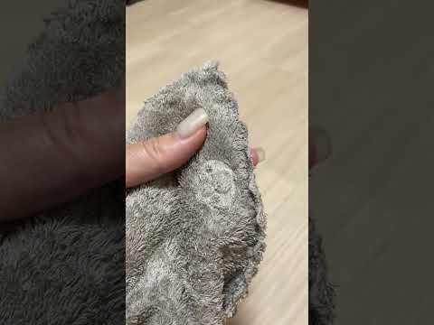 セリアでも売ってました‼︎#犬 #猫 #ダイソー #セリア #100均