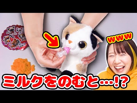 え！？本当に飲んでる！？😳猫ちゃんのお世話ができるサプライズトイが超可愛かった！！