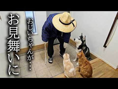 近所のおじいちゃんがお見舞いに来てくれました…