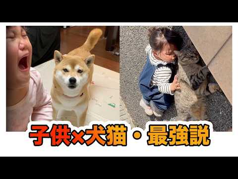 赤ちゃん × 犬猫、世界が優しくなる16選💝