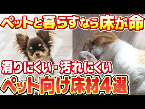 犬猫を飼うなら床はコレ！滑らない＆お手入れ簡単なペットリノベ床材4選