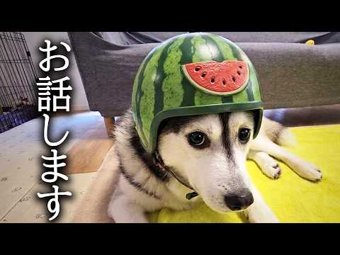 大変なことになりました…