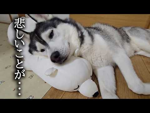 悲しいことがありました…