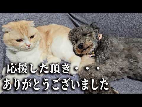 みなさまにお伝えしたいことがあります…