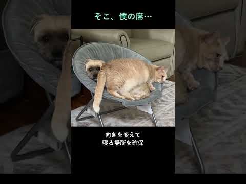 そこ、僕の席…