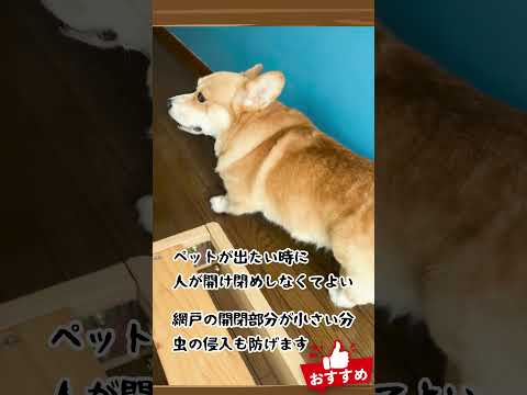 もう網戸を開けなくていい！犬猫専用ドア🐶🐱