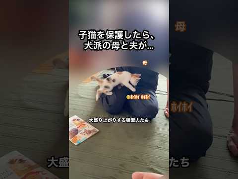 犬派の母と夫をメロメロにさせた子猫 #shorts #猫 #保護猫
