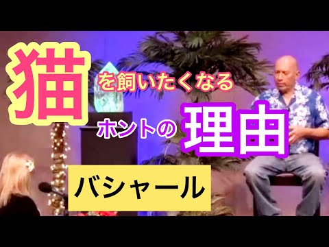 猫を飼いたくなるホントの理由（バシャール）| Why you are attracted to cats (Bashar)