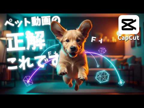【CapCut解説】犬猫動画、こう撮ってこう編集するともっと可愛くなります