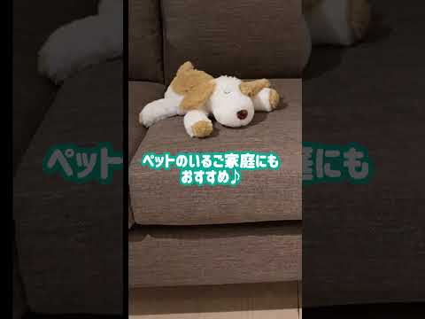 ニトリ社員がおすすめ！ペットと一緒に楽しめるソファ！
