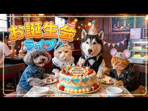 犬と猫の親バカ日記2026年　誕生日ライブ！