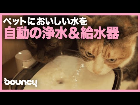 留守でもペットに美味しい水を！ 犬・猫用の自動浄水&給水器「ALNPET +」