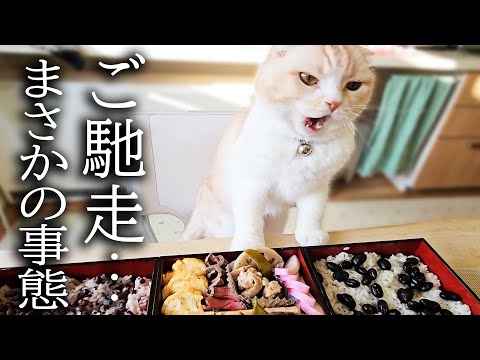 生まれて初めてご馳走を見た猫と犬が大変なことに…