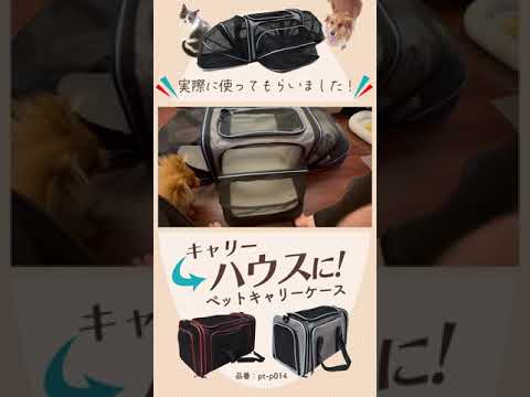 拡張できる！ペットキャリー使用動画スマホ版 #ペット #商品紹介 #犬 #猫 #ペットキャリー #株式会社プラタ