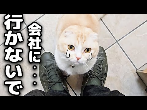 会社に出勤しようとしたら猫と犬に泣かれ全力で引き止められました